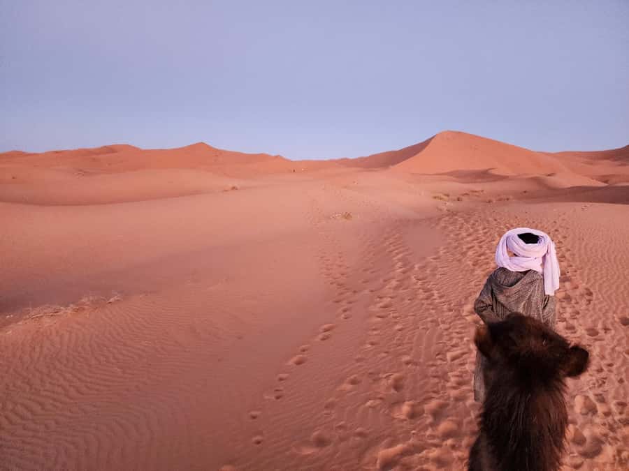 Majestic Desert: 3-Day Luxury Journey from Marrakech to Fes - Day 2: Todra Gorge and the camel route into Erg Chebbi