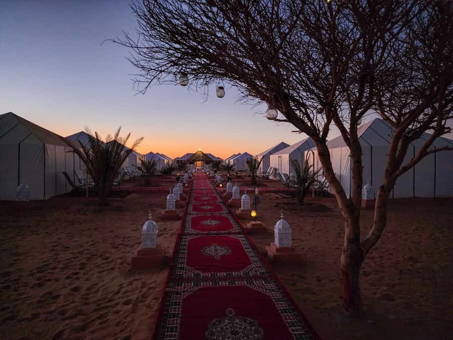 Majestic Desert: 3-Day Luxury Journey from Marrakech to Fes - Transport, group size, and the reality of long drives