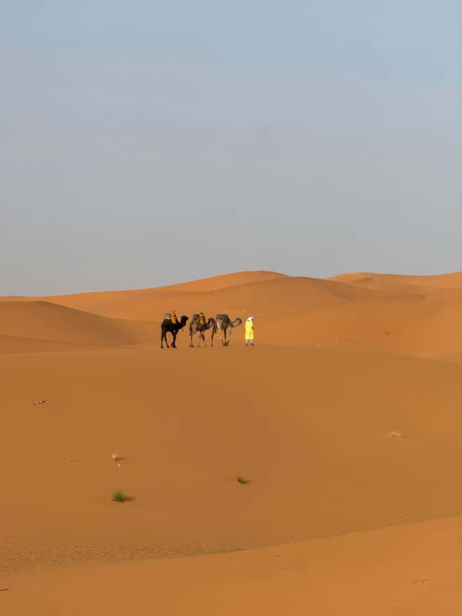 Majestic Desert: 3-Day Luxury Journey from Marrakech to Fes - What the $138 price really buys you