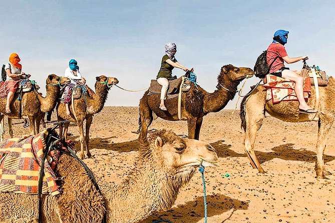Marrakech: 1 Day Tour-Best of the Atlas Mountains &Three Valleys - Walking through Asni and the Three Valleys