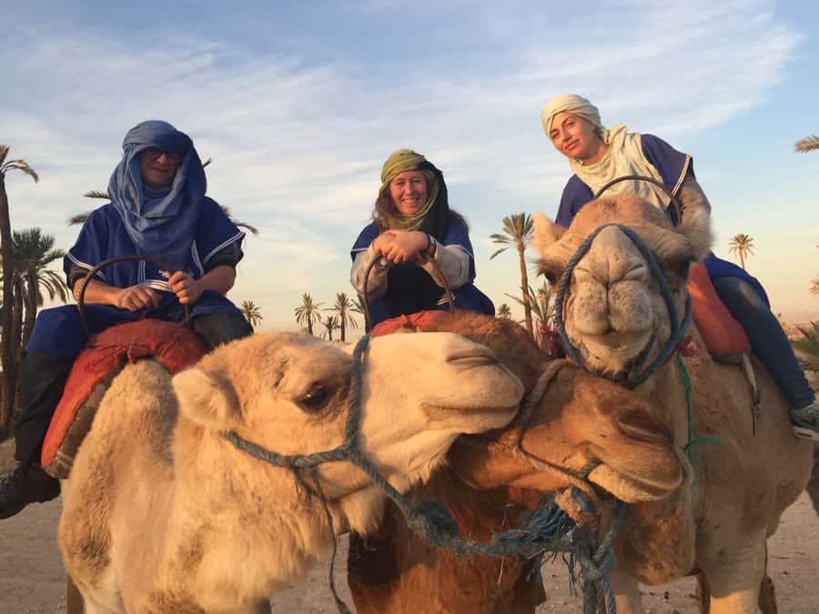 Marrakech : 1-Hour Camel Ride Through the Palm Grove - Who will enjoy this Marrakech camel outing?