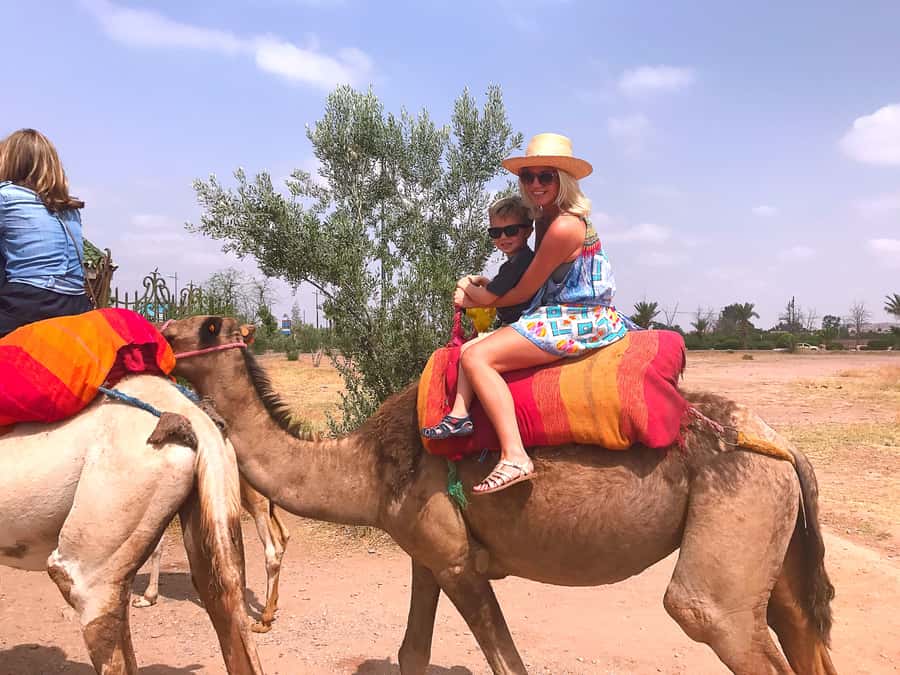 Marrakech : 1-Hour Camel Ride Through the Palm Grove - The Palmeraie is more than a camel backdrop