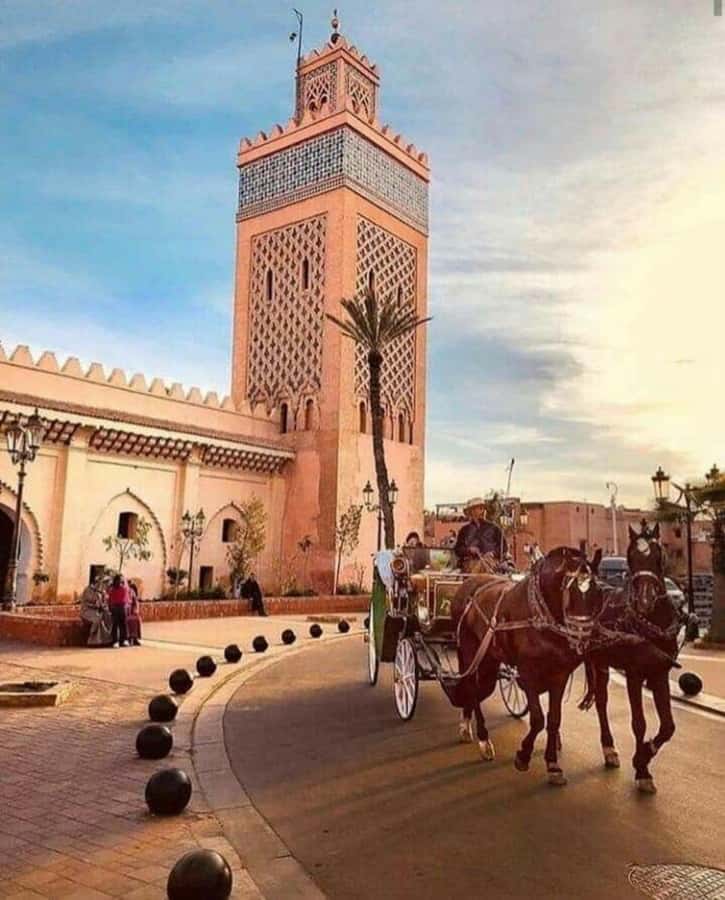 Marrakech: 1-Hour Traditional Horse-Drawn Carriage Tour - Key points to know before booking