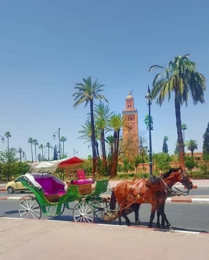 Marrakech: 1-Hour Traditional Horse-Drawn Carriage Tour - Who should book this carriage tour?