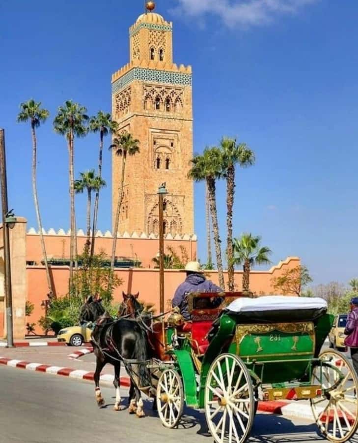 Marrakech: 1-Hour Traditional Horse-Drawn Carriage Tour - Menara Garden brings quiet and mountain views