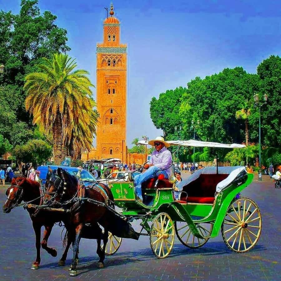 Marrakech: 1-Hour Traditional Horse-Drawn Carriage Tour - How the guiding may vary