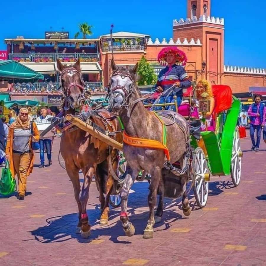 Marrakech: 1-Hour Traditional Horse-Drawn Carriage Tour - Is $40 per person fair value?