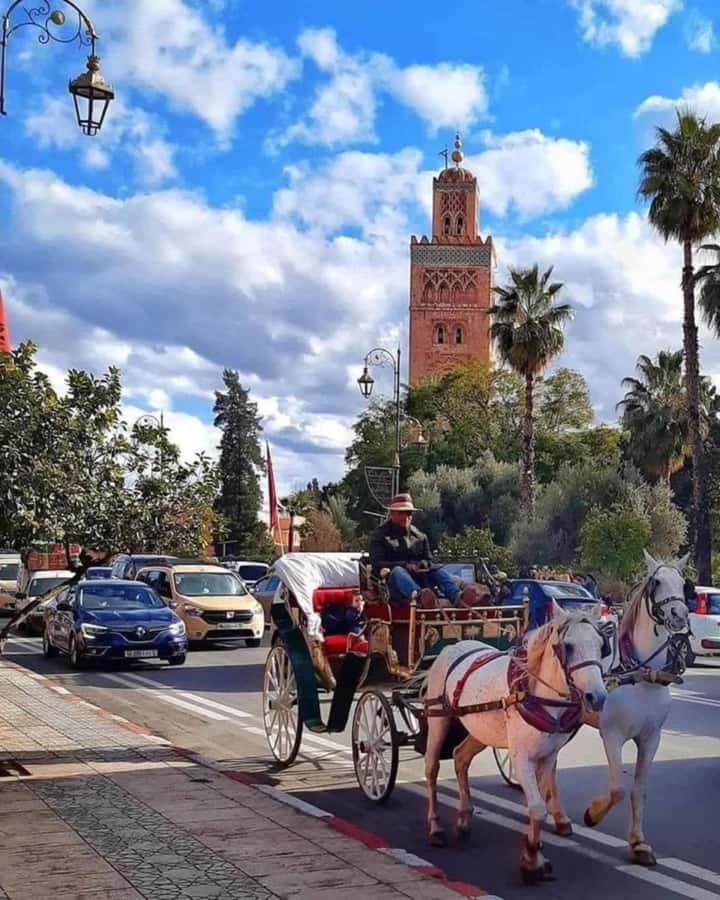 Marrakech: 1-Hour Traditional Horse-Drawn Carriage Tour - Hotel pickup can make or break the first ten minutes