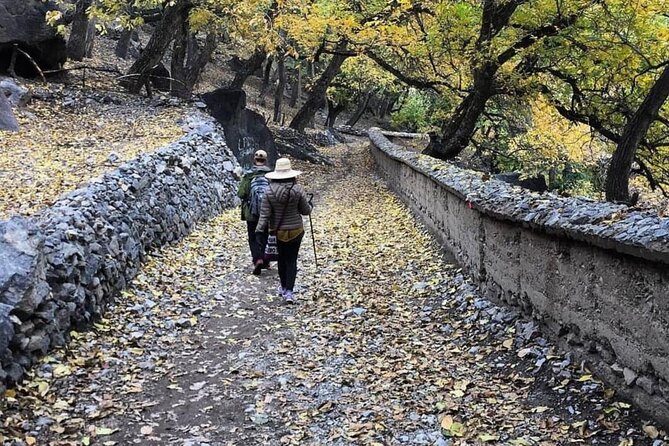 Marrakech: 2-Day Atlas Mountains Trek with Village Stay - Down through the juniper forest to Tizi Oussem