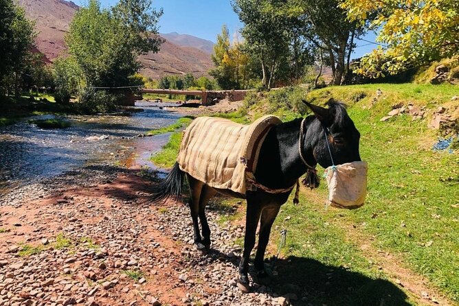 Marrakech: 2-Day Atlas Mountains Trek with Village Stay - Day one: Imlil to Tizi Mzik and the Azzaden Valley