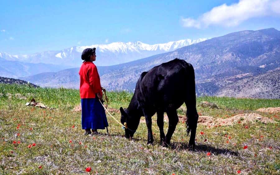 Marrakech: 2-Day Atlas Villages Trekking Tour - Leaving Marrakech for the High Atlas