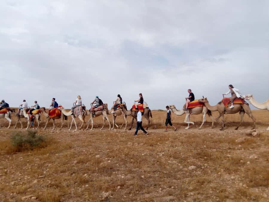 Marrakech: 2-Day Atlas Villages Trekking Tour - The overnight stay at Maison d’Haute Atlas Ijoukak