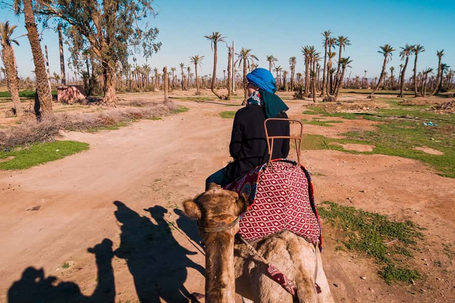 Marrakech: 2-Hour Quad Bike & Camel Ride in Palmeraie - Key points before you book