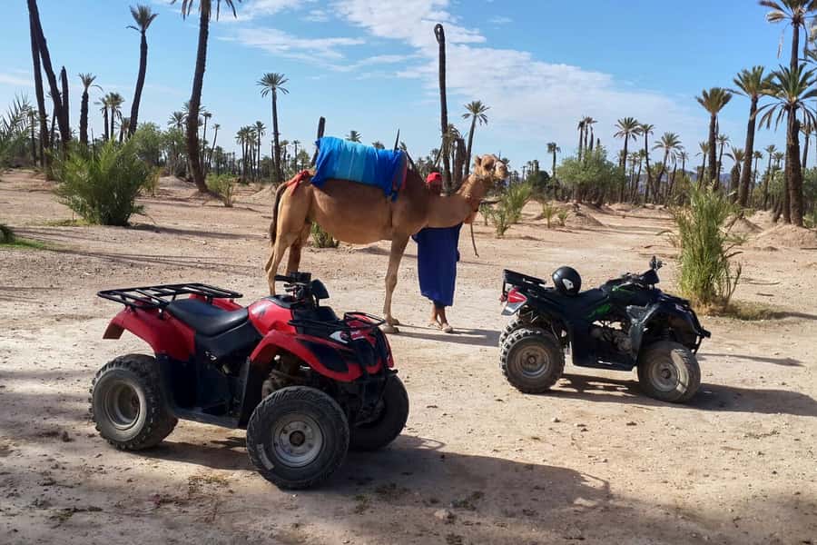 Marrakech: 2-Hour Quad Bike & Camel Ride in Palmeraie - What the $57 price really covers