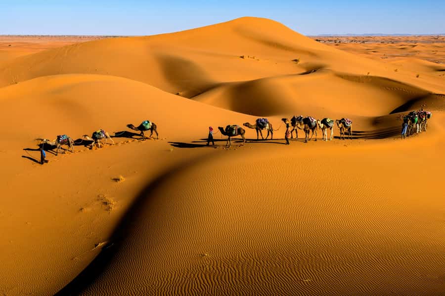 Marrakech: 3-Day Desert Trip to Merzouga with Luxury Camp - Day 3: Sunrise, breakfast, and the long return