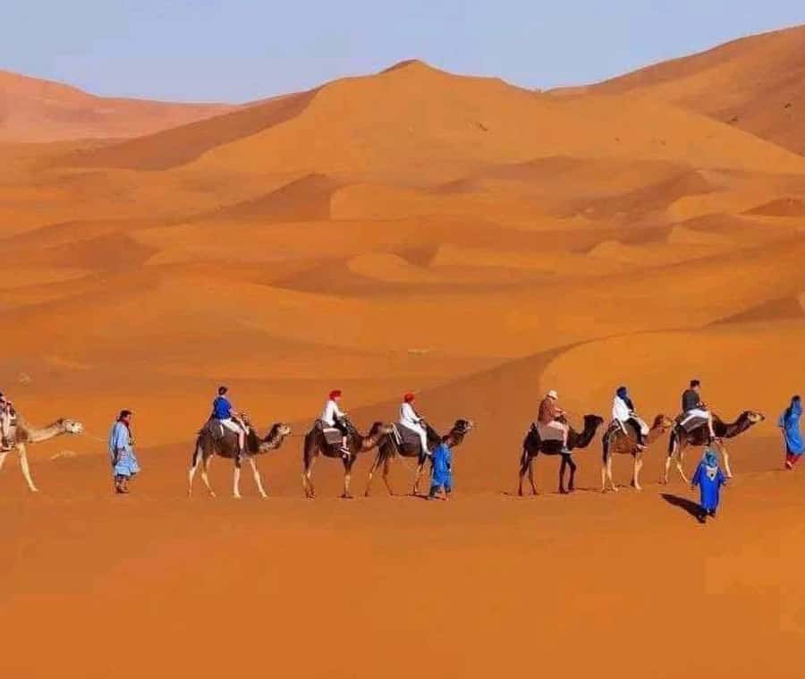 Marrakech: 3-day Exclusive Desert Luxury Tour; Quad & Camels - The overnight desert camp
