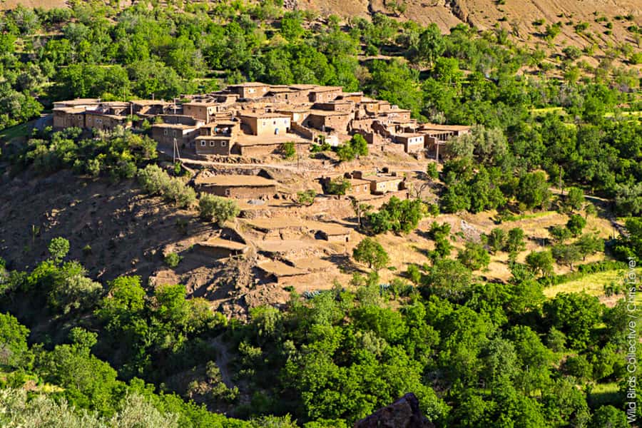 Marrakech: 3-Day High Atlas Mountains and Three Valleys Trek - Day Two: Aguersiwal, Oudit Pass, Matat, and Ait Aissa