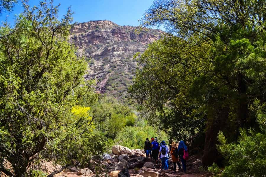 Marrakech: 3-Day High Atlas Mountains and Three Valleys Trek - What the walking is really like