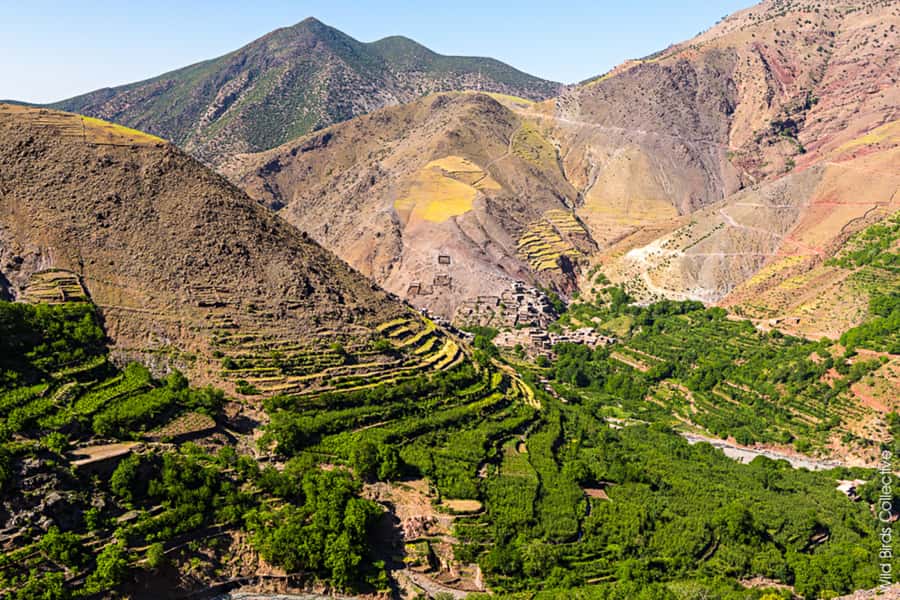 Marrakech: 3-Day High Atlas Mountains and Three Valleys Trek - Food, water, and guesthouse comfort