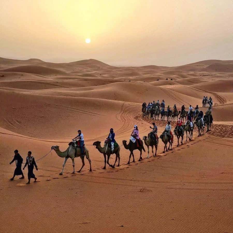 Marrakech: 3-Day Luxurious Desert Tour to Fes via Merzouga. - Why this Marrakech to Fes route works