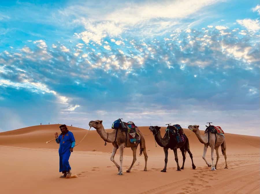 Marrakech: 3-Day Merzouga Desert Tour Camel & Sandboarding - What to pack for mountain mornings and desert nights