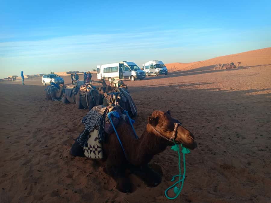 Marrakech: 3-Day Merzouga Sahara Desert Tour with Quad Ride - Sunrise, camels, and the optional quad ride