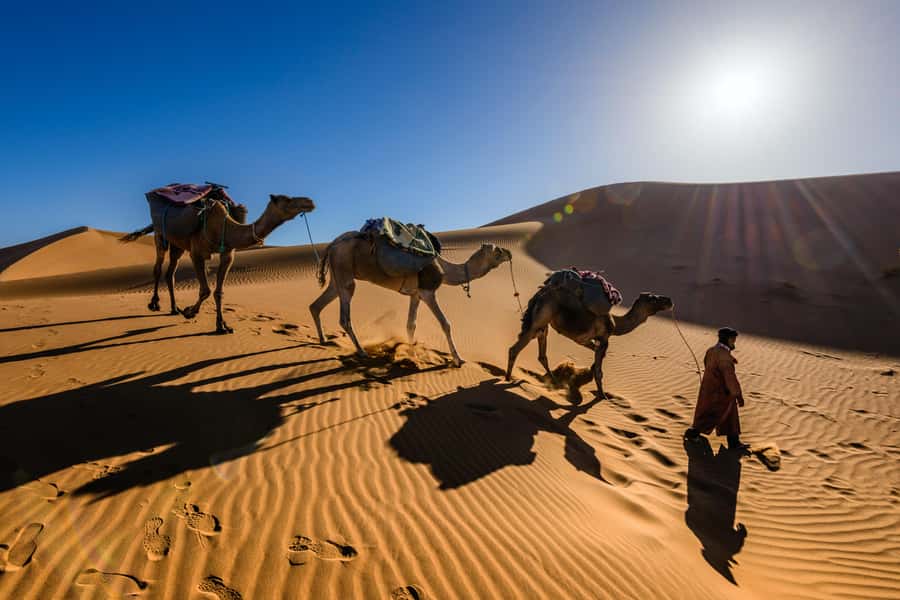 Marrakech: 3-Day Trip to Fez with Sandboarding & Camel Ride - Day Three: Sunrise, Erfoud, and the Long Finish