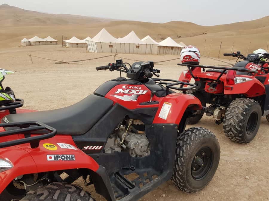 Marrakech: 3-Hour Quad Bike Adventure - Is $82 a fair price?