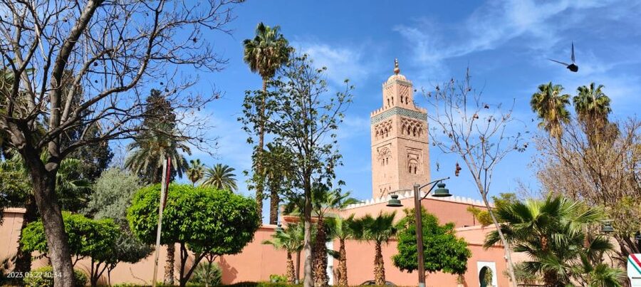 Marrakech 3-Hour Walking Tour - Is $82 a fair price for three hours?