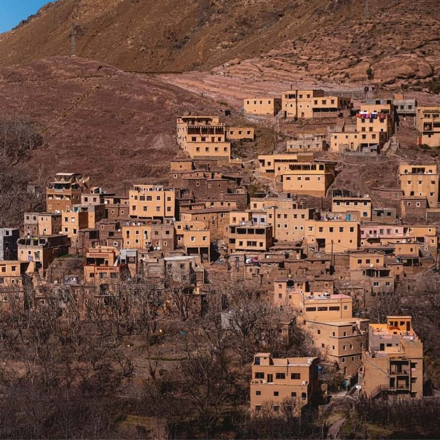 Marrakech 3 Valleys Private Tour, Waterfalls and Mountains - What the private format is really worth