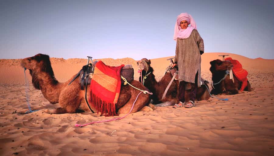 Marrakech: 3Day Luxurious Merzouga Tour w/ Camel&Quad Option - Choosing between the standard and luxury camp