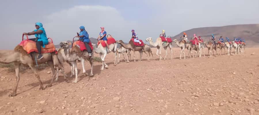 Marrakech Adventure: Agafay Desert Quad, Camel, Lunch - Should you book it?