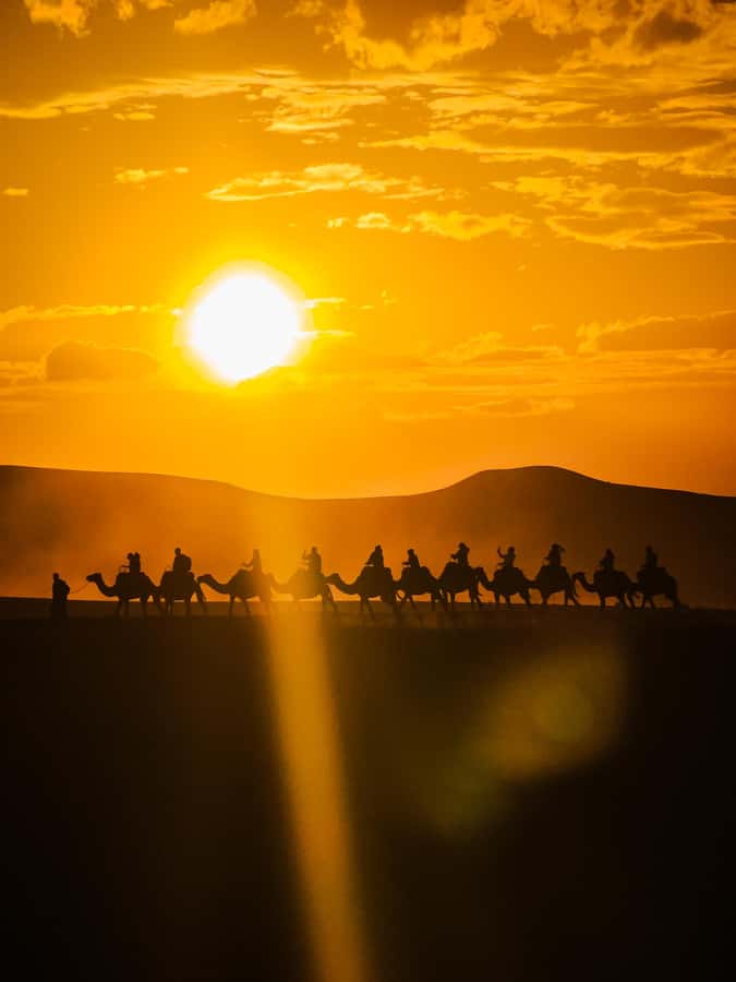 Marrakech: Agafay Camel Ride & Dinner with Fire Show Tour - Key points to know before booking
