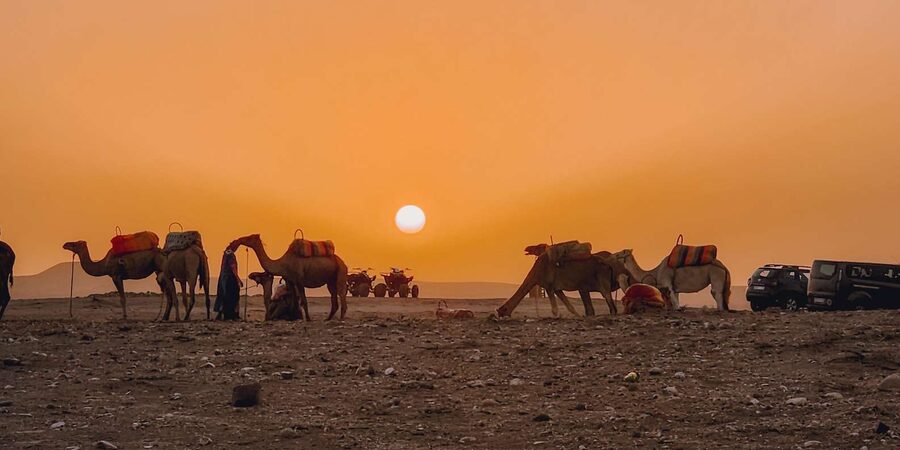 Marrakech: Agafay Camel Ride & Dinner with Fire Show Tour - Moroccan dinner with tea, music, and group energy
