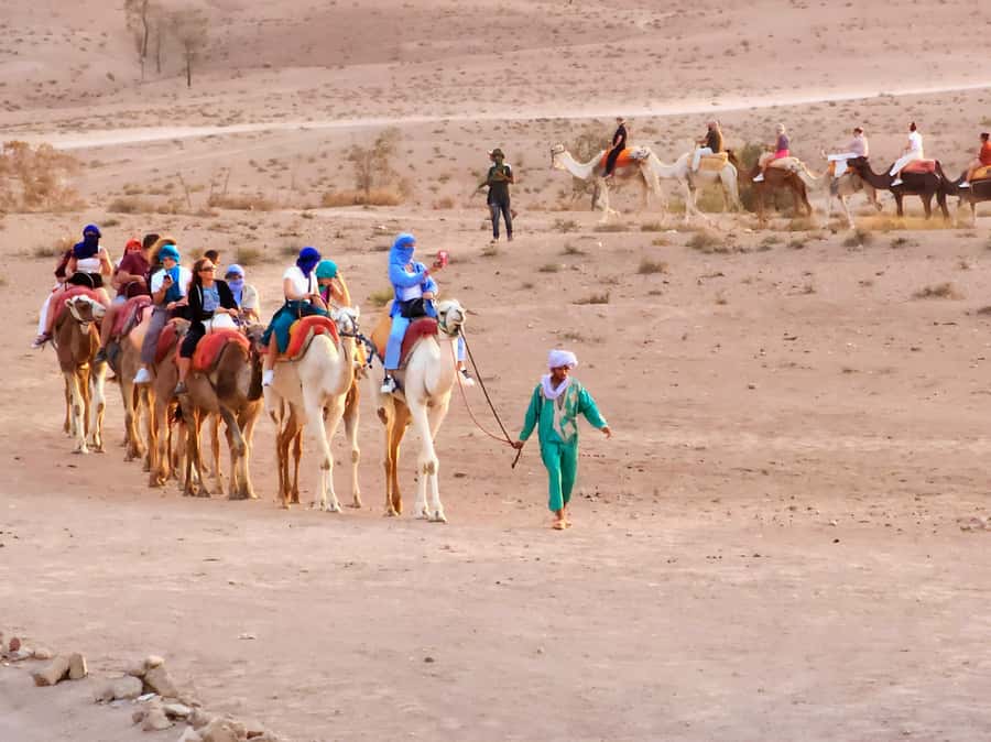 Marrakech: Agafay Camel Ride & Dinner with Fire Show Tour - Guides make the biggest difference