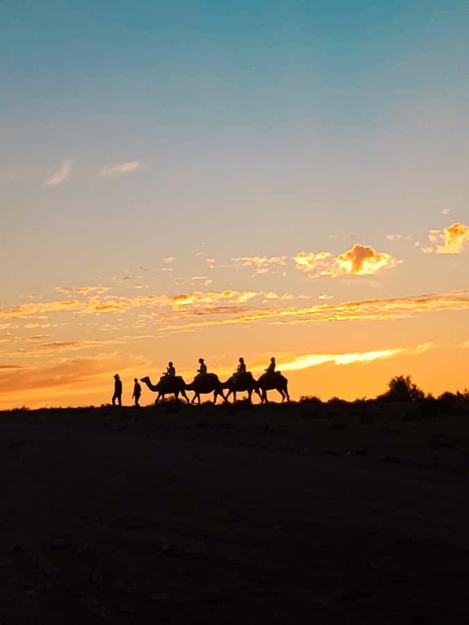 Marrakech: Agafay Camel Ride & Dinner with Fire Show Tour - Mint tea, argan oil, and the first desert stop