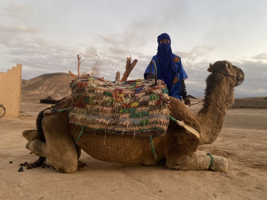 Marrakech: Agafay Desert Buggy Tour with Transfer - What the price includes, and where value gets complicated