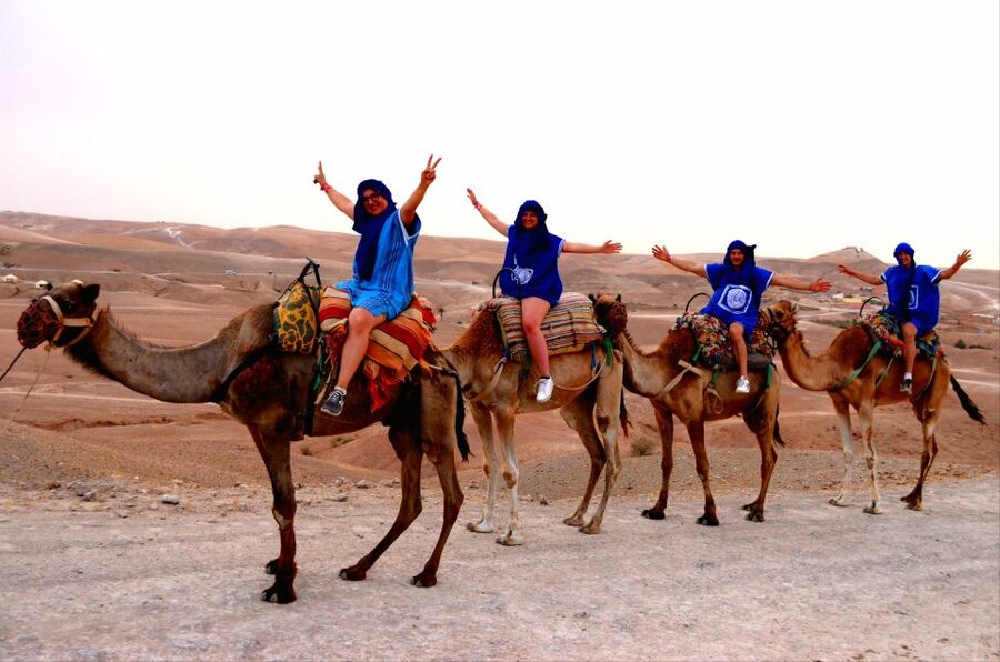 Marrakech: Agafay Desert Buggy Tour with Transfer - Who will enjoy this four-hour outing