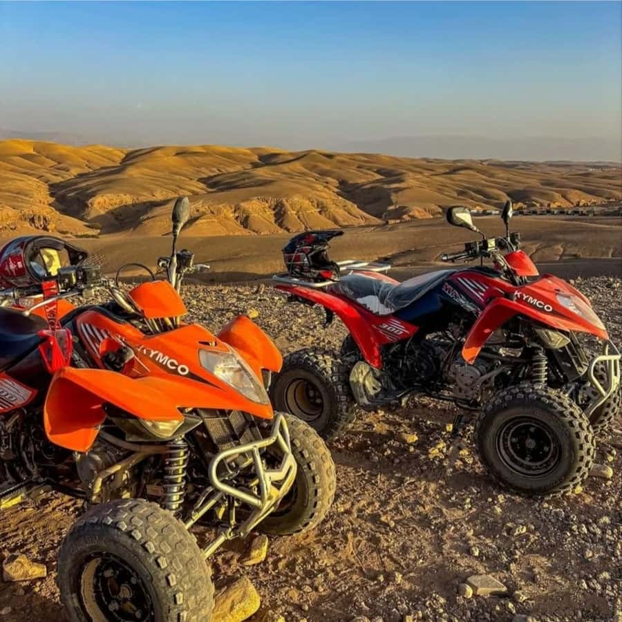 Marrakech: Agafay Desert Camel, Quad Bike & Dinner Show - Practical packing advice for a smoother outing