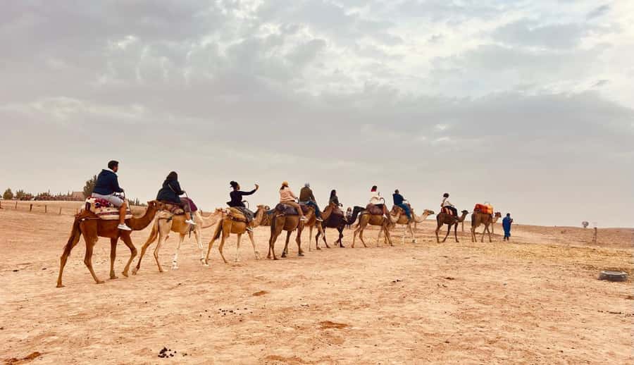 Marrakech: Agafay Desert Camel Ride, Dinner, Fire Show - The fire show brings the night to a lively close