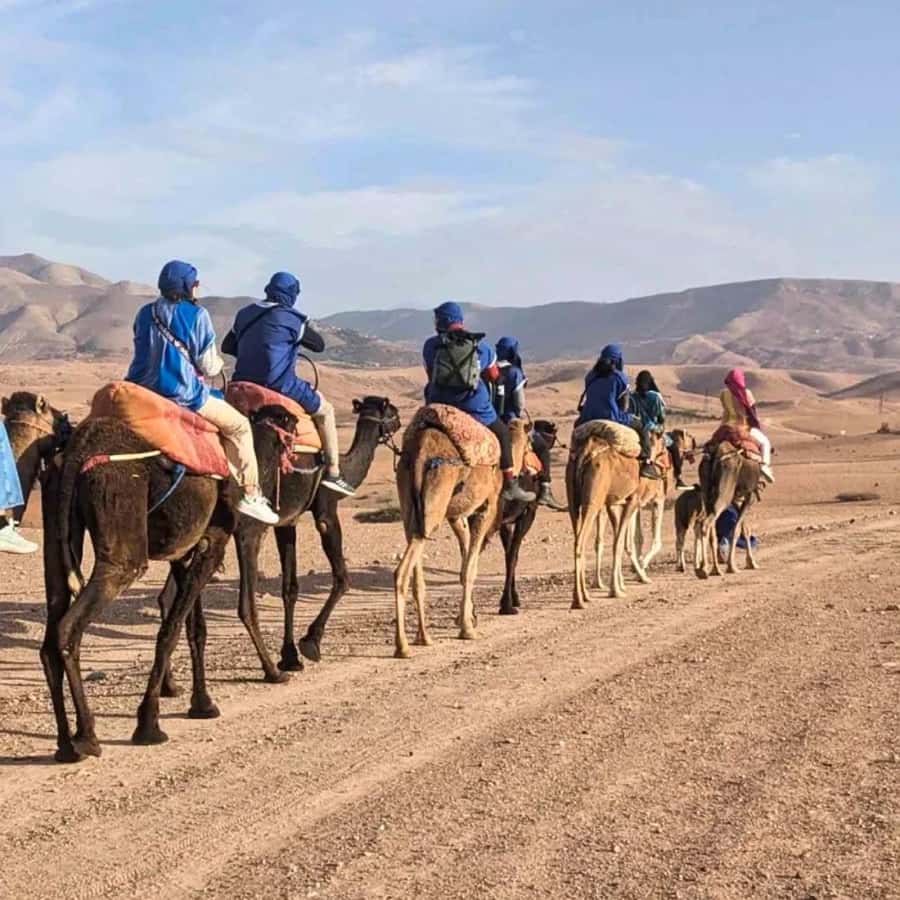 Marrakech: Agafay Desert Camel Ride & Quad with Dinner Show - Guides, safety, and the overall organization