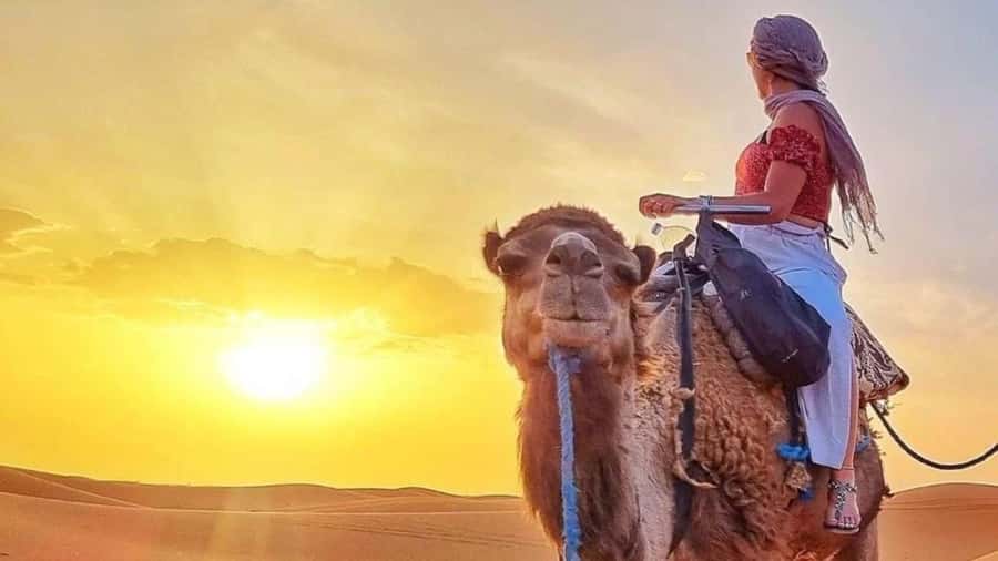 Marrakech Agafay desert: Camel Ride, Sunset, Dinner show - Berber music and the fire show