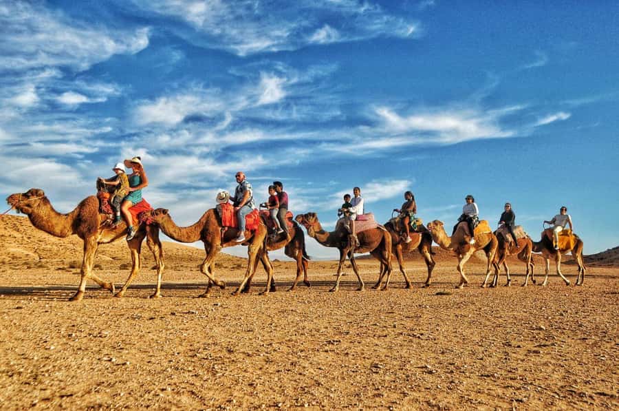 Marrakech Agafay desert: Camel Ride, Sunset, Dinner show - What the $10 price really buys you