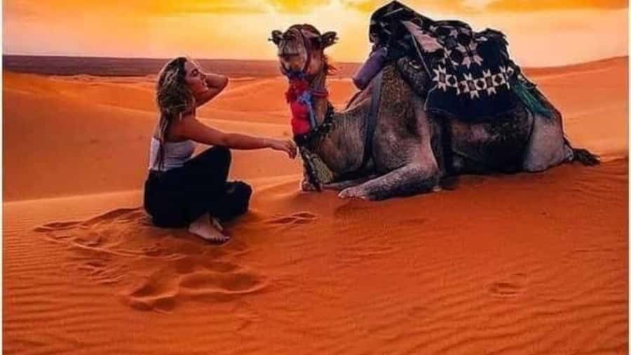 Marrakech Agafay desert: Camel Ride, Sunset, Dinner show - Small details that make the evening easier