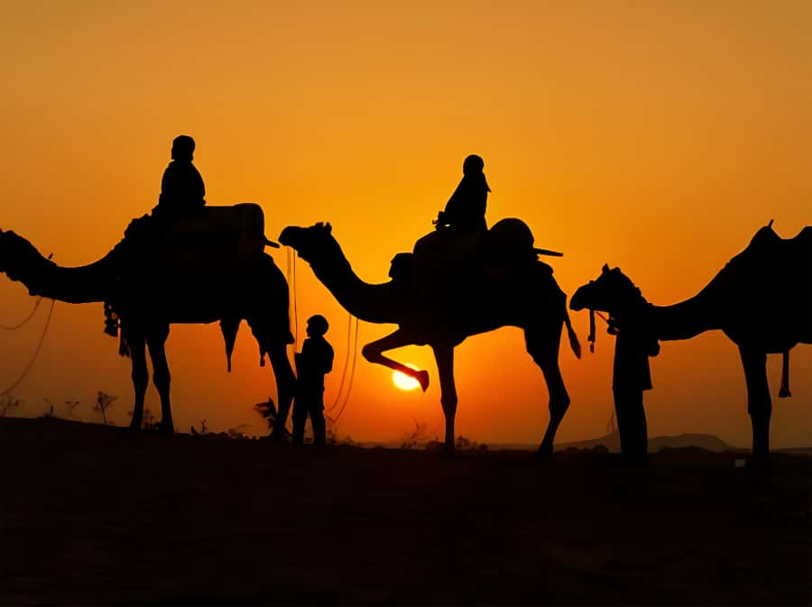 Marrakech: Agafay Desert Camel Ride with Dinner & Show - Moroccan dinner under the stars