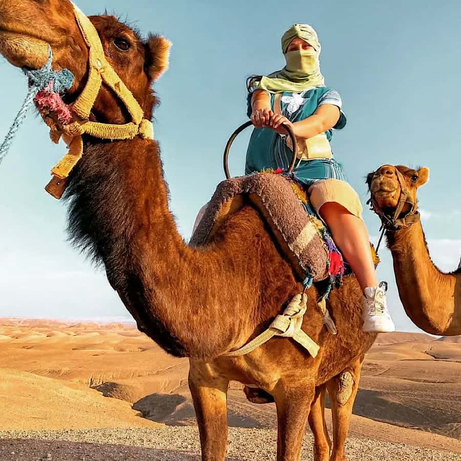Marrakech: Agafay desert camel ride with dinner & spectacle - Guides can shape the whole evening