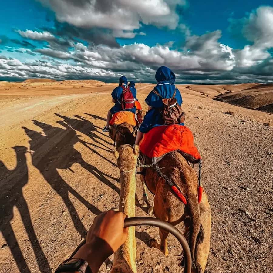 Marrakech: Agafay desert camel ride with dinner & spectacle - Pickup from your riad and the drive out