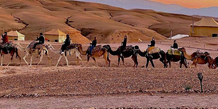 Marrakech: Agafay Desert Camel Rides, Dinner and Fire Show - Quad biking across the rocky dunes