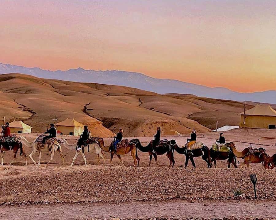 Marrakech: Agafay Desert Camel Rides, Dinner and Fire Show - Moroccan dinner under the stars