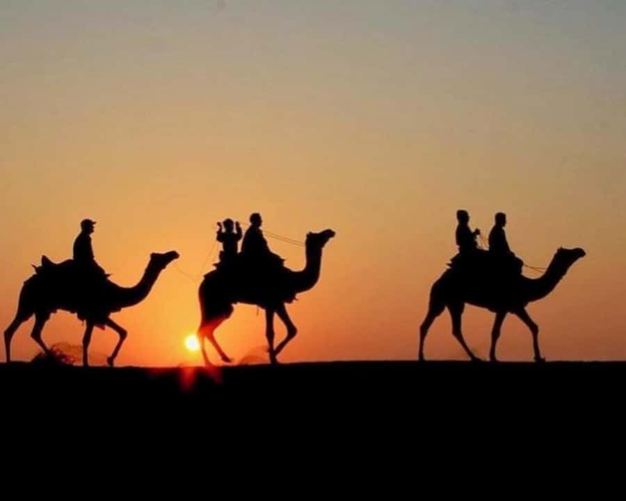 Marrakech: Agafay Desert Camel Rides, Dinner and Fire Show - Seeing Argan Oil Made by Hand
